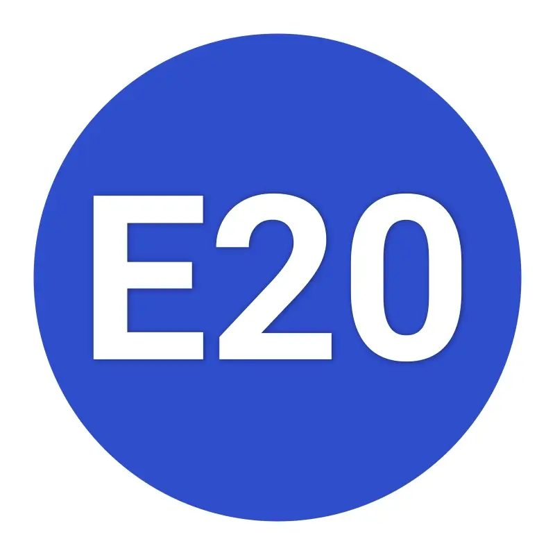 e20_fuel_compatible Product Features