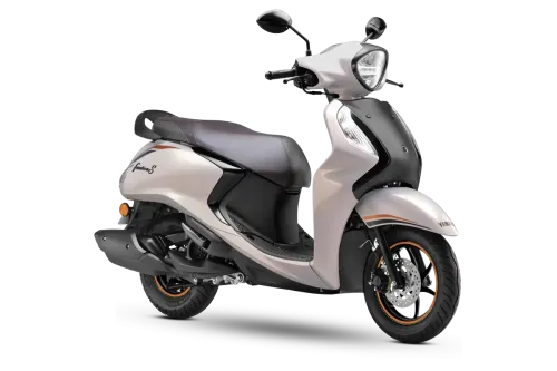 orange grey spl fasino s